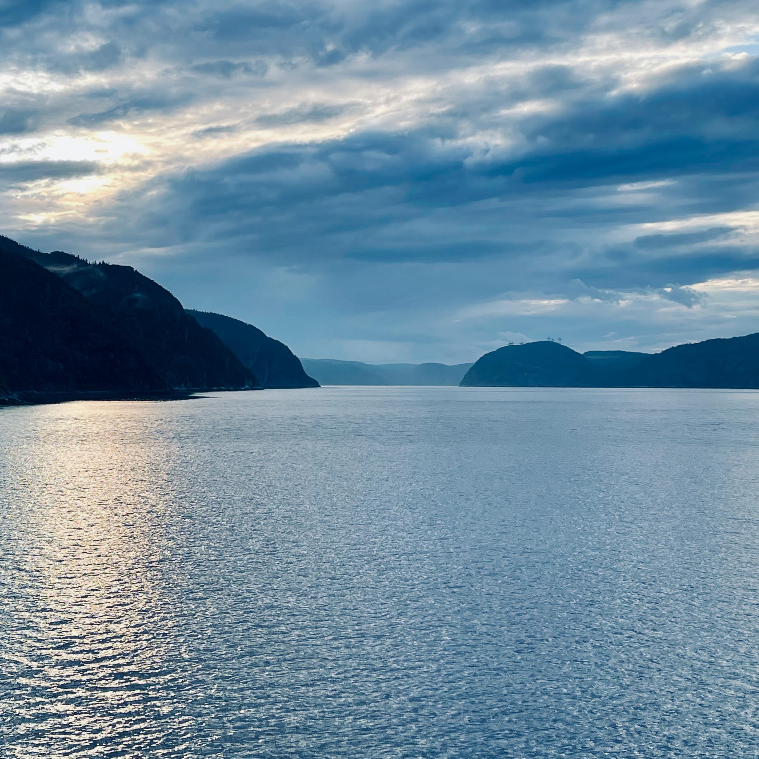 cover for "Swimming (Émilie Simon Cover)"